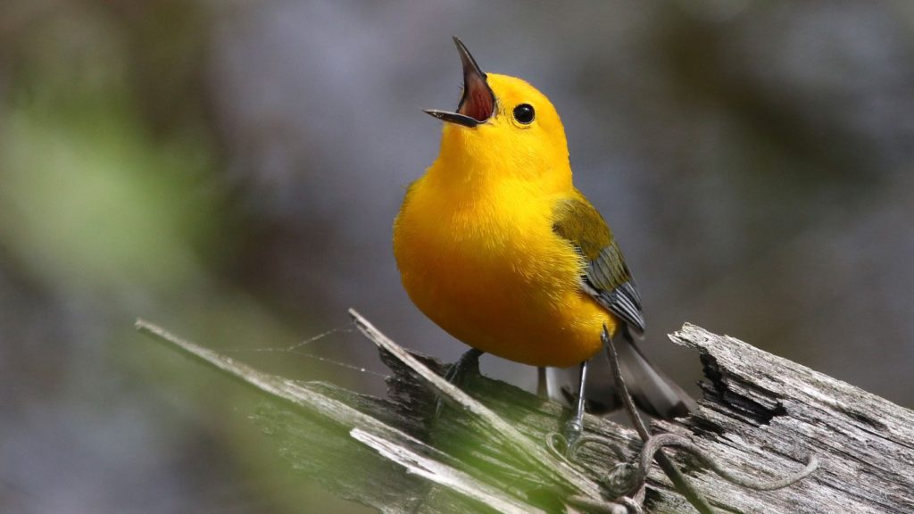 Expertise & Innovation